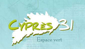 Cyprès 31