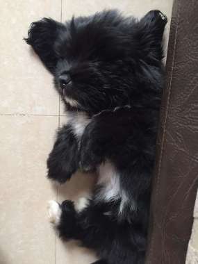 "Joey" , my baby. 