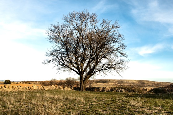 Fotografia de paisaje
