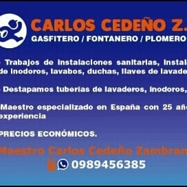 Gasfitero Profesional