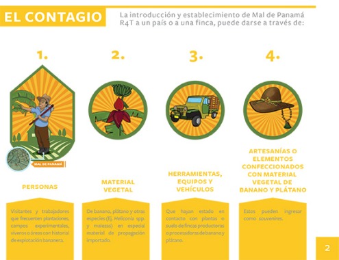 Ilustraciones para cartillasolidaridad.