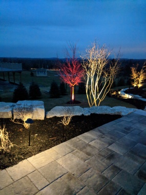 Add a little colour to our landscape lighting!