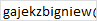 Gejzer Zbigniew Gajek