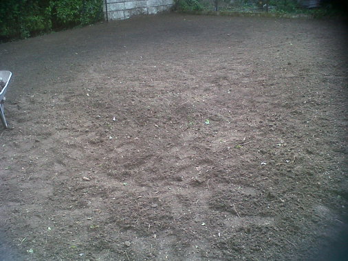 Terrain niveler pour engazonnement.