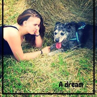 ~Possède mon propre chien ~