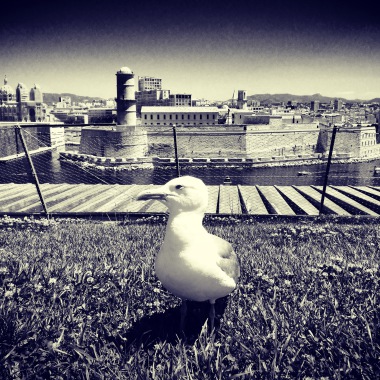 Elea Photographie 