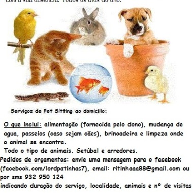 Petcare Service
