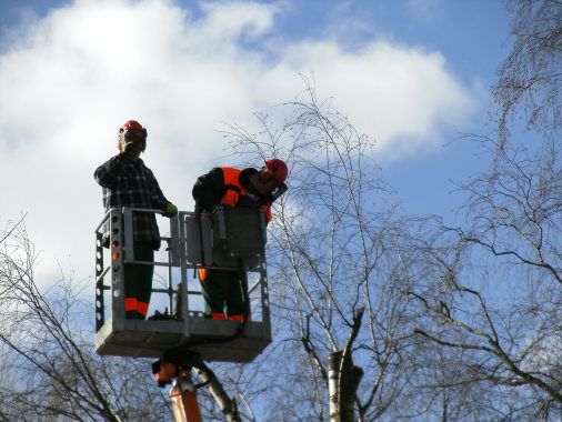 PICT0844.JPG