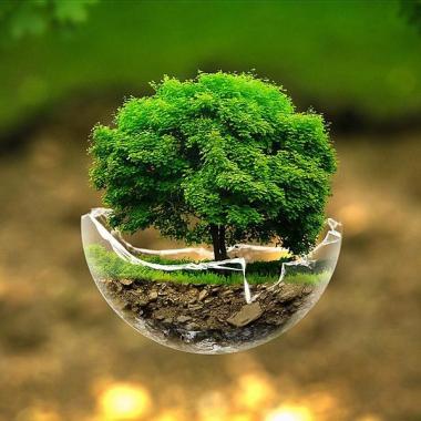 Cabinet Juris Eco Conseil