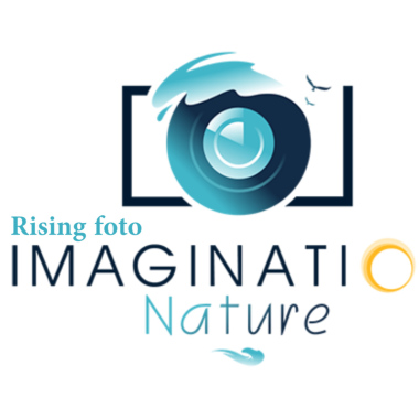 Risingfoto