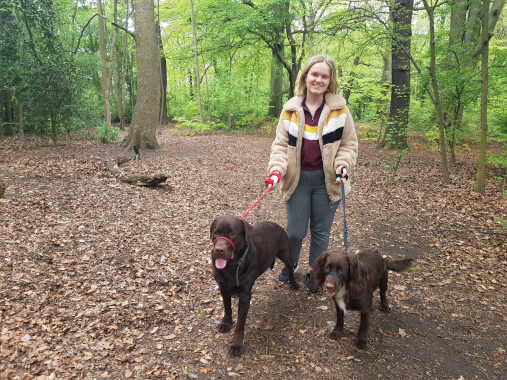 little walk in the park