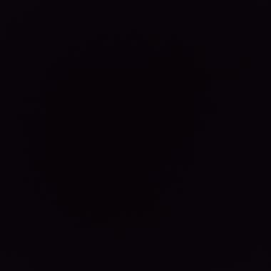 Flash Professional