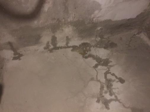 undichte Bodenplatte und Wand