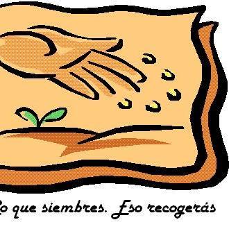 Yoga, Reiki, Pilates En Llíria