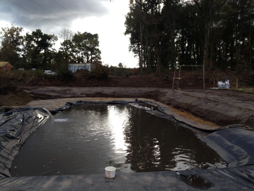 terrassement piscine naturelle