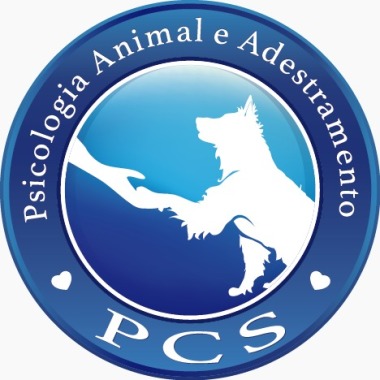 Adestramento De Cães Salvador - Pcs