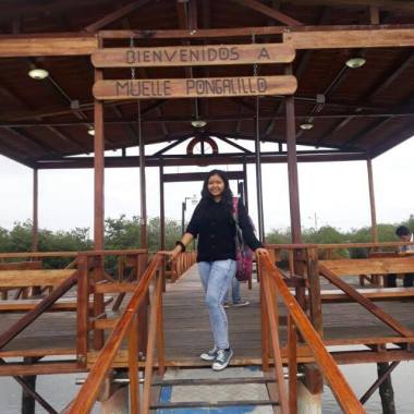Pb Travel