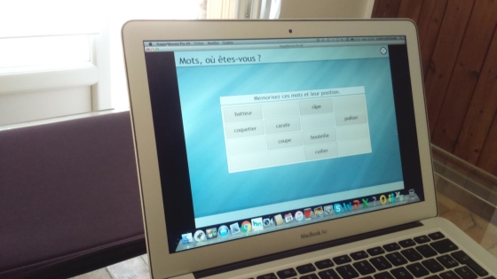 Logiciel : Rééducation Cognitive