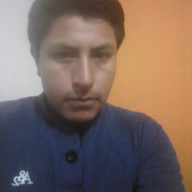 Maestro Albañil