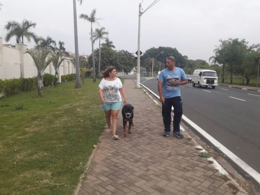 Envolvimento do tutor