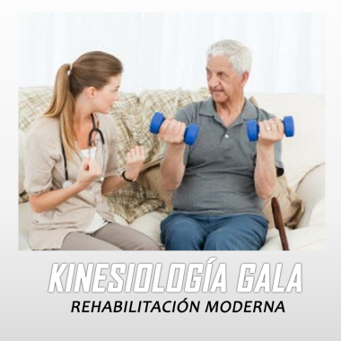 Rehabilitación a domicilio.
- Rehabilitación del adulto mayor.
- Programa de postrados.
- Kinesiterapia respiratoria infantil y adultos.