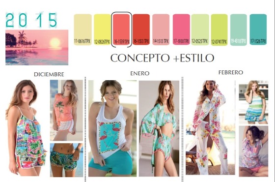 CONCEPTO  DE COLECCION