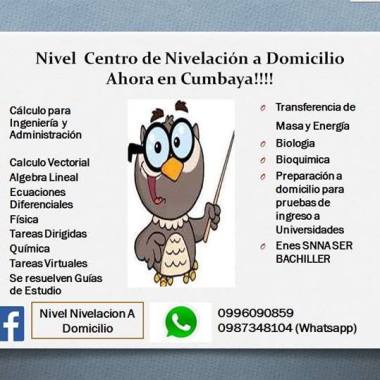 Nivelacion A Domicilio