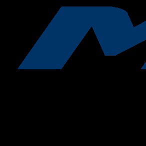 Mhs Services