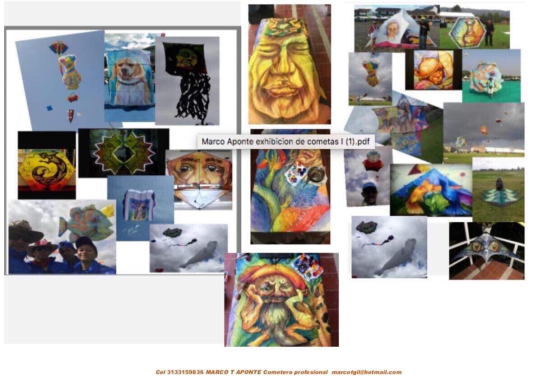 Artes Visuales Marco T Aponte