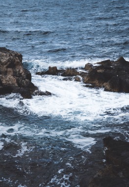 Fotografia de naturaleza