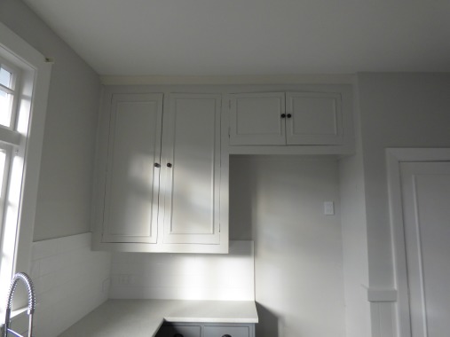 Darley Street Kitchen Remodel  
