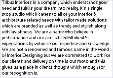 Tribuz Interiors