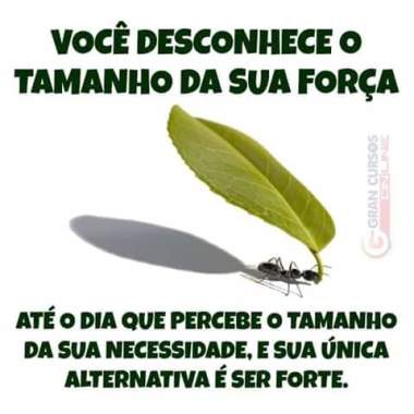 Ana Faxineira