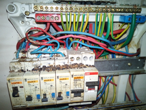 Réhabilitation d un coffret électrique endommagé par une souris on voit sur cette photo les fils detruits