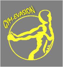 Gym-Evasion