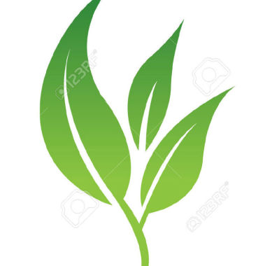Entretient De  Jardins