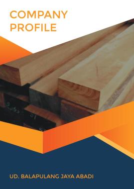 Company Profile Cover