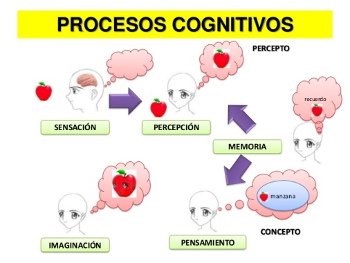 Estimulamos  los procesos psicológicos superiores de atención, memoria, lenguaje entre otros mencionados en la imagen.