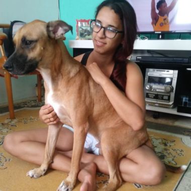 Dog Walker Pandora