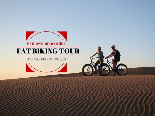 Tour por las dunas (solo en bajada y plano) usando bicicletas de neumáticos extra anchos que flotan sobre la arena.