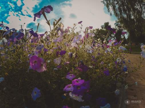Naturaleza