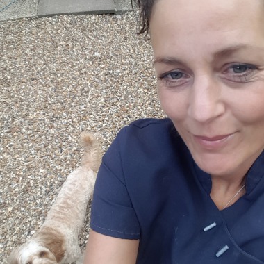 Doodles Dog Grooming - Bracknell