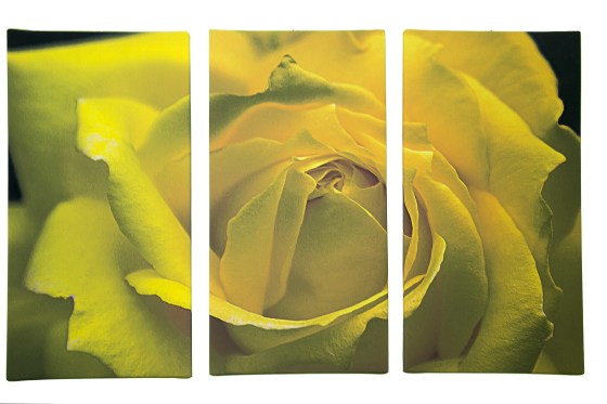 quadro d'arredo