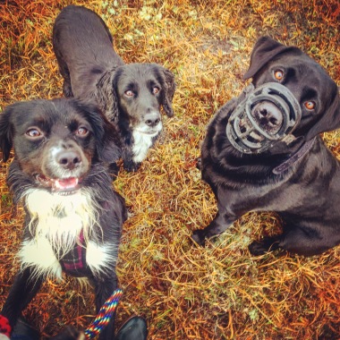 Morning group walk at Beaulieu 