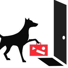 Vet4Pets