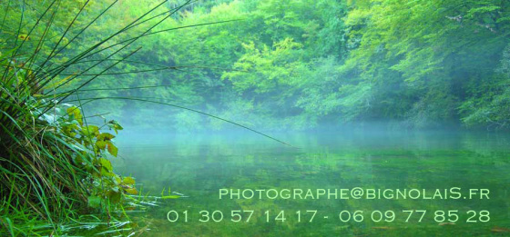 Pascal Bignolais Photographe