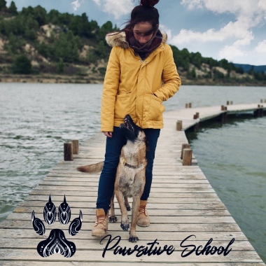 Pawsitive School
