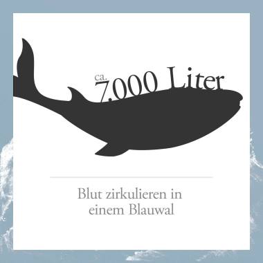Social-Media Illustration