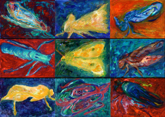"Insectes" acrylique sur papier (2008)