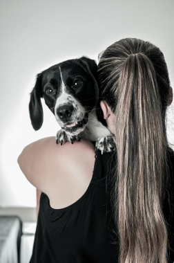 Scéance photo chez ma cliente avec sa chienne Ina, Juin 2016.